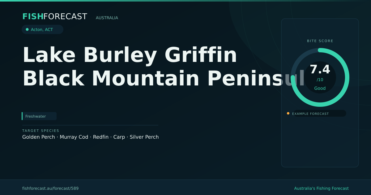 Lake Burley Griffin Black Mountain Peninsula Fishing Report & Forecast ...